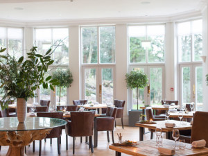 Forest Side at Wildsmith Hotel