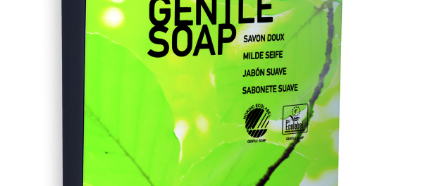 GM Groupe Soap